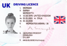 Driving Licence