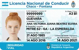 Carnet de Conducir