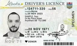 Driver's Licence