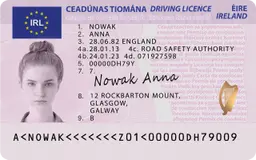 Driving Licence