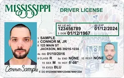 US Driver Licence