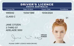 Driver's Licence