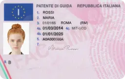 Patente di guida