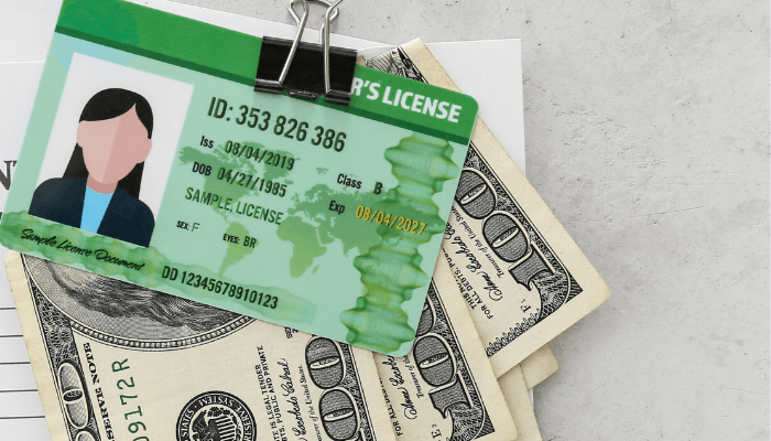 Driver's License Photo price