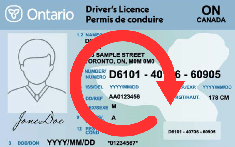 renew  driver’s licence  Ontario